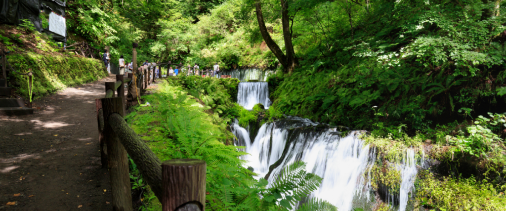 白糸の滝|幾筋もの水が流れ落ちる、軽井沢を代表する景勝地