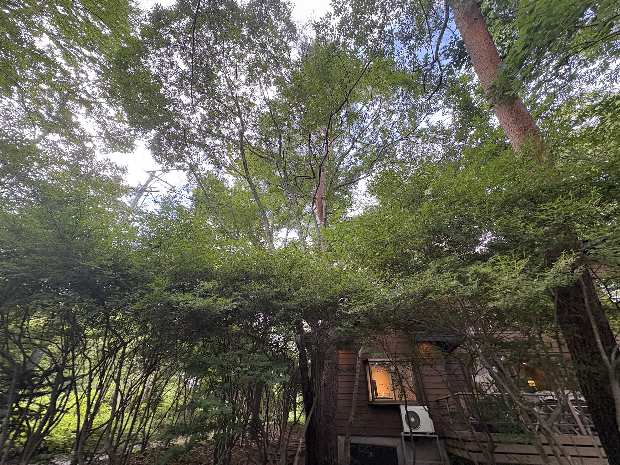 COCO VILLA 軽井沢 PHOTO GALLARY 20