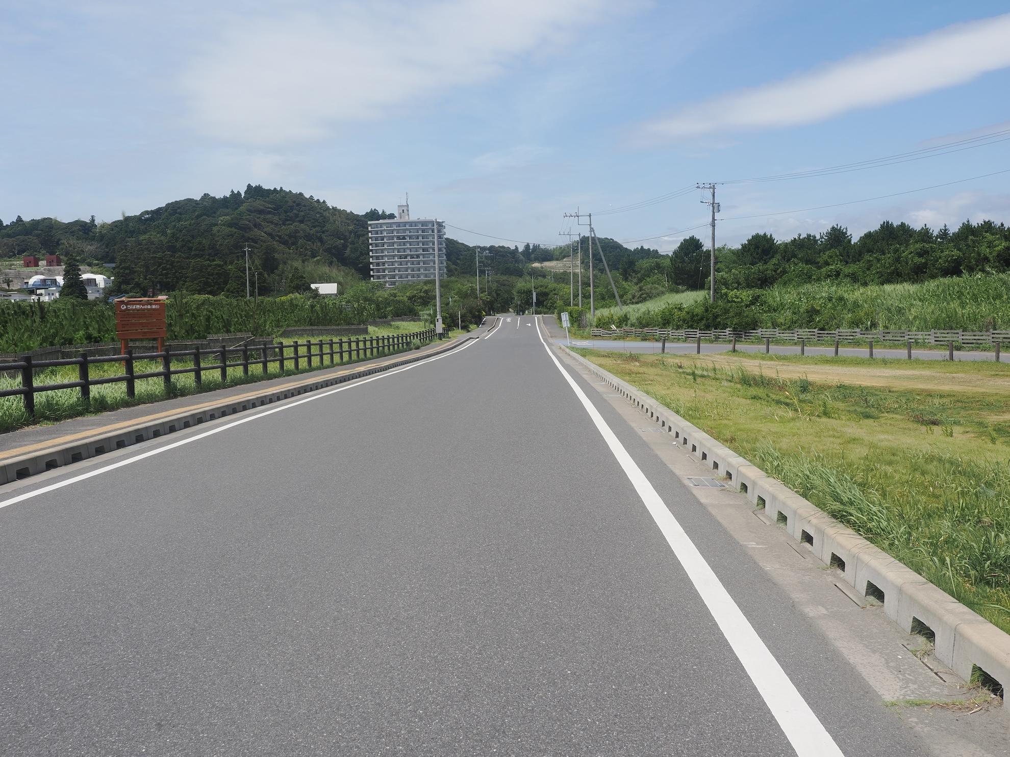 (3)電車・タクシーでのアクセス情報
