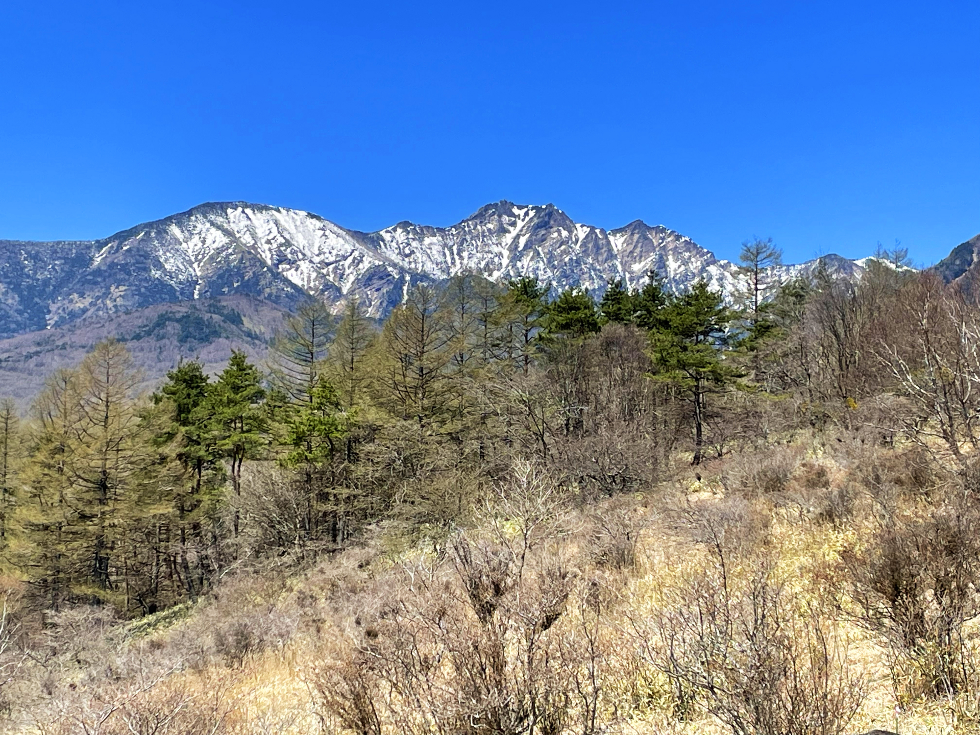 八ヶ岳周辺の絶景スポット観光