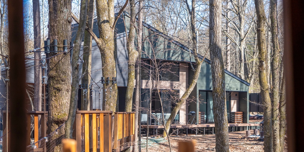 画像 2