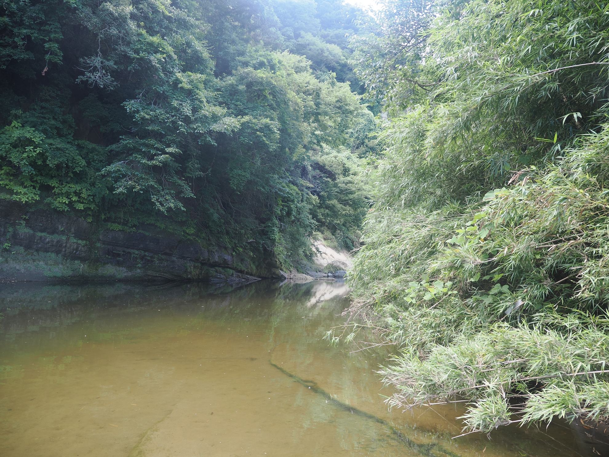 養老川で楽しむ「川サウナ」