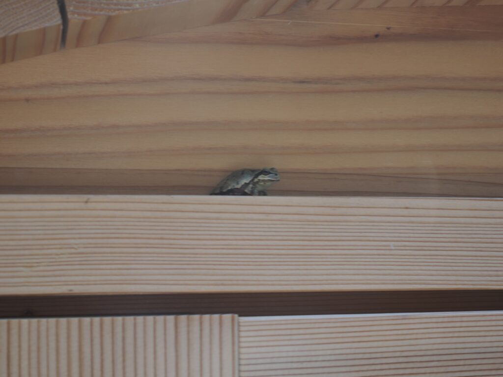 虫対策はしっかり準備しておく2