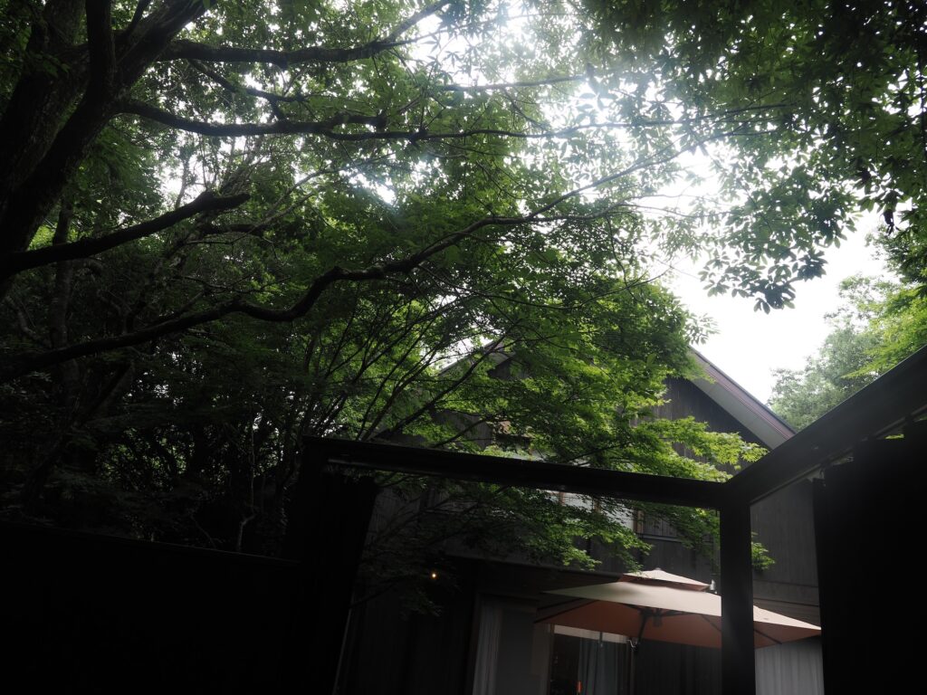 COCO VILLA 箱根仙石原 69