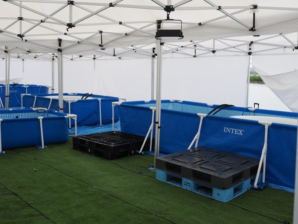 「JAPAN SAUNA FESTIVAL 2026」のサウナ体験レポート36