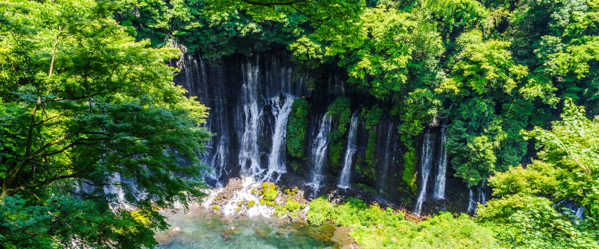 画像 3