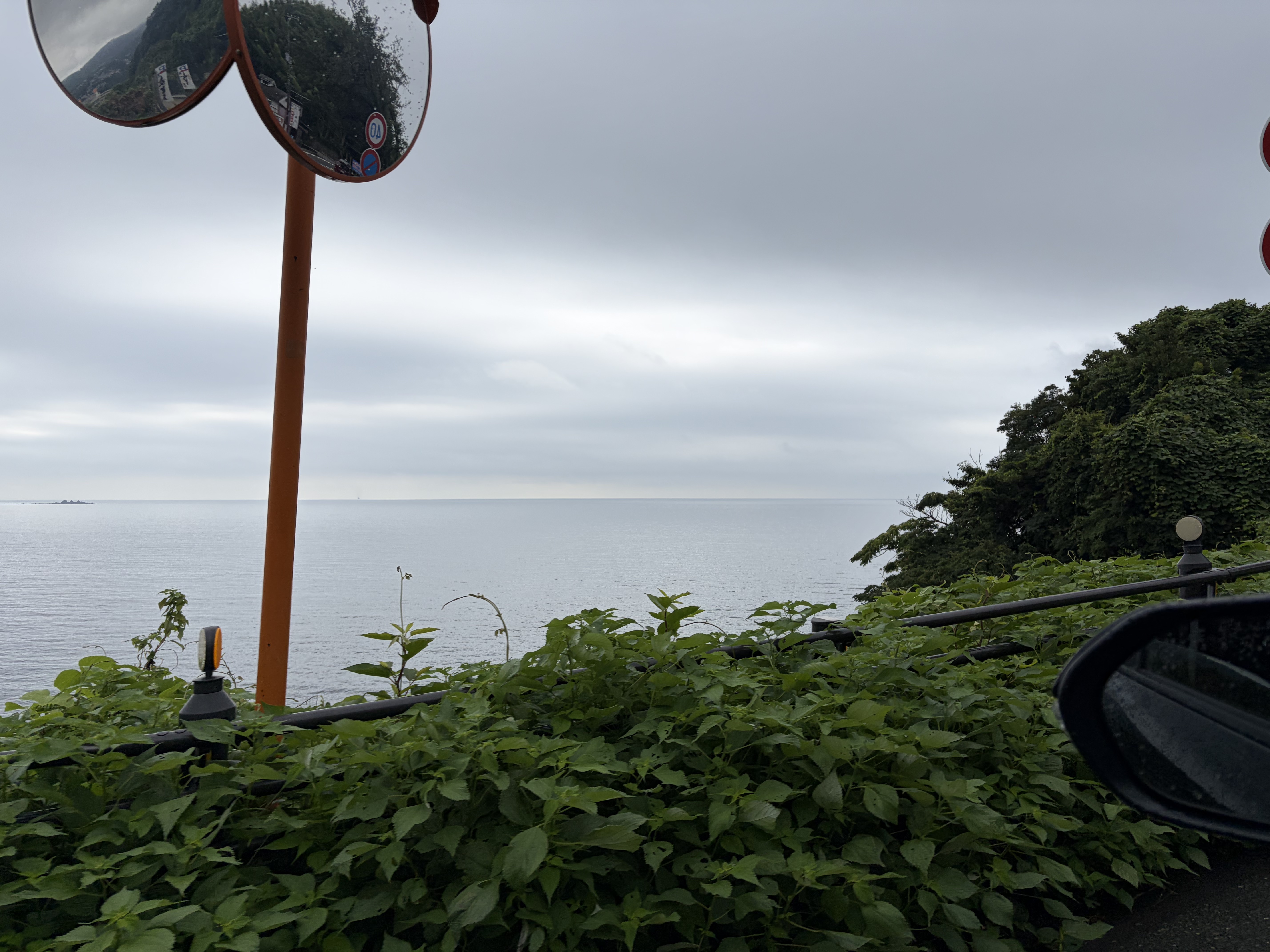 八幡宮来宮神社や伊豆高原の観光
