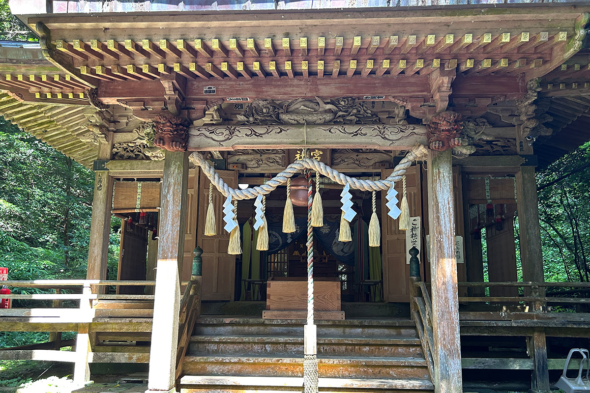 画像 1